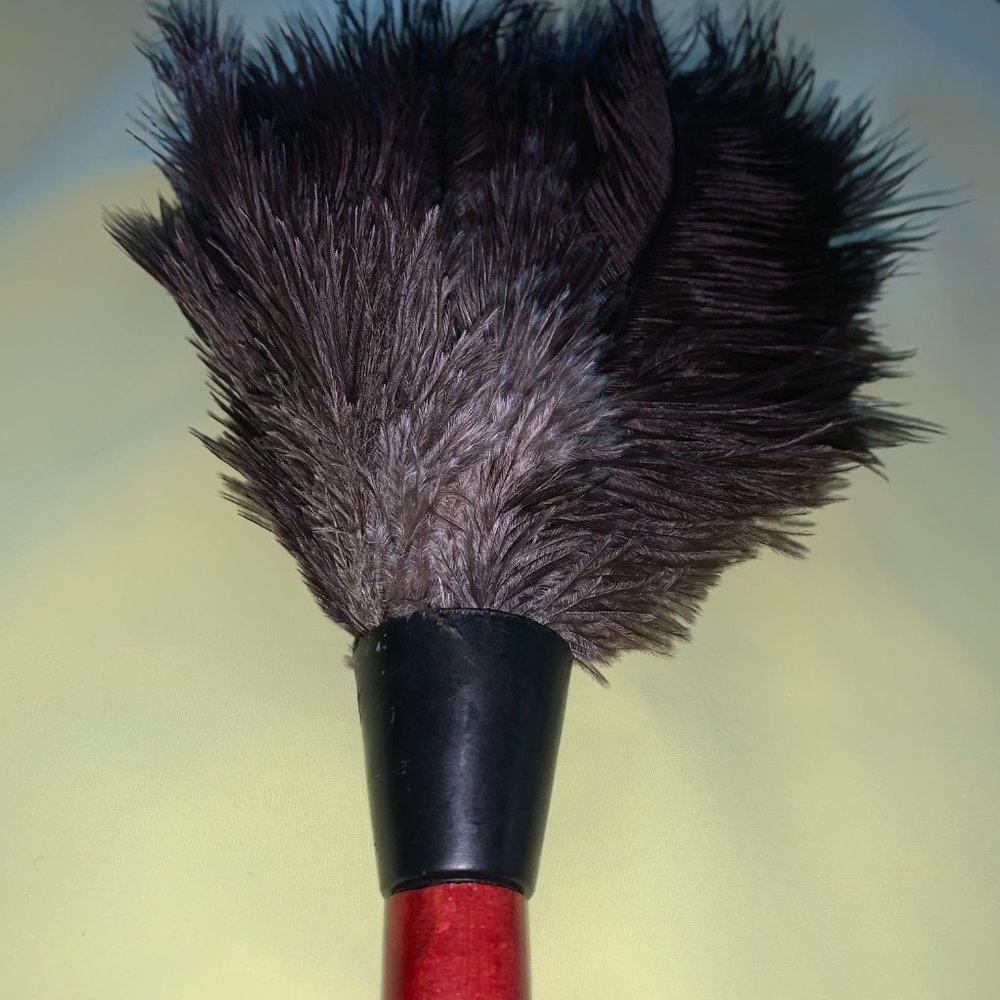 Royal Fancy Maid Costume Accessory Black Ostrich Feather Duster (14")